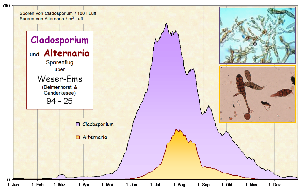 Sporen mi Jaga WE ab 94 hp