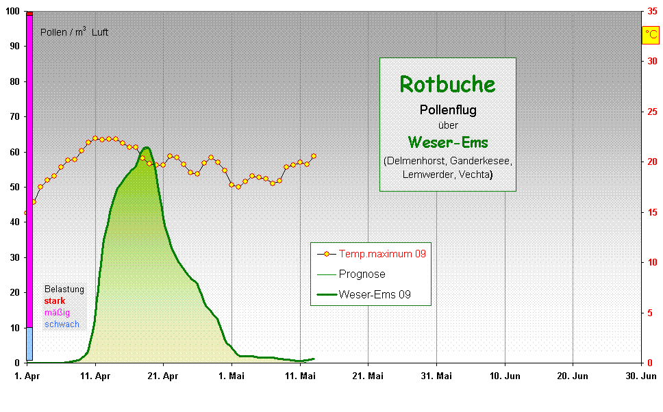 Rotbuche
Pollenflug 
�ber 
Weser-Ems
(Delmenhorst, Ganderkesee, 
Lemwerder, Vechta) 

